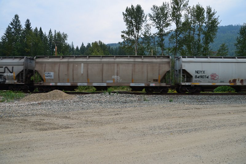 DSC_9031.JPG