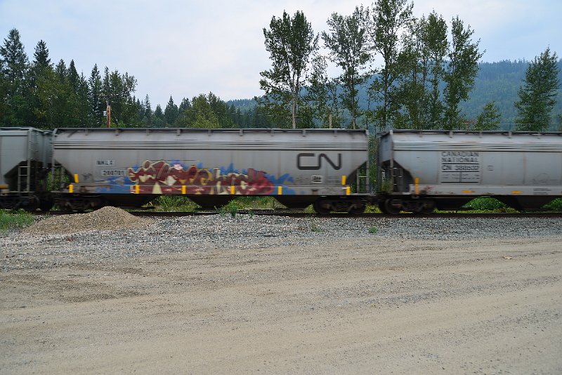 DSC_9036.JPG