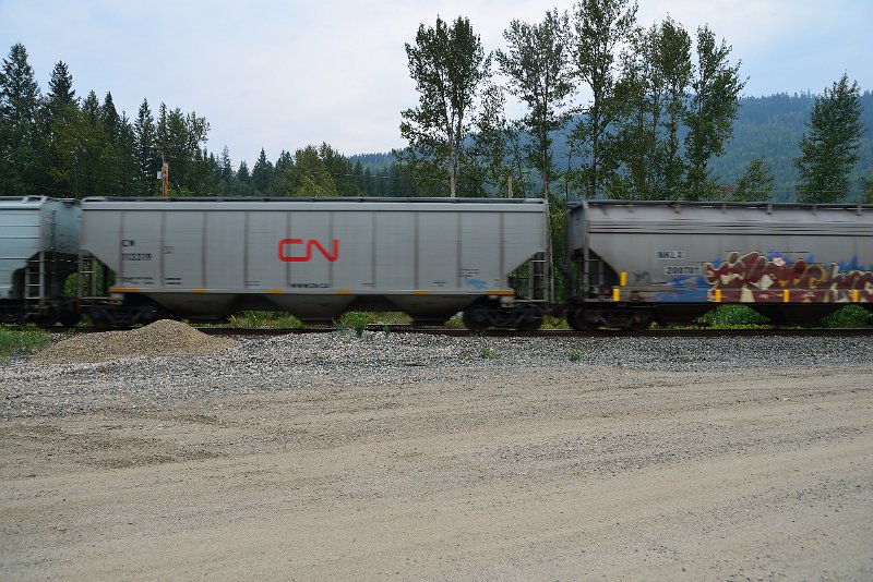 DSC_9037.JPG