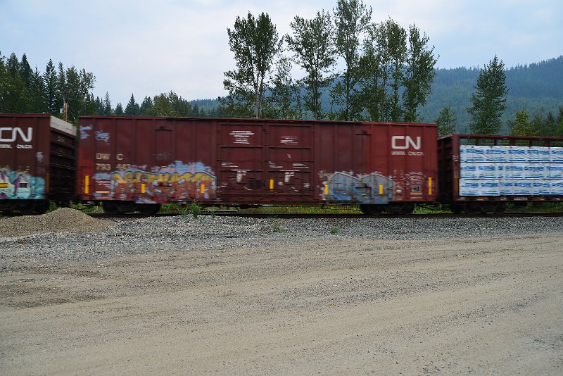 DSC_9078.JPG