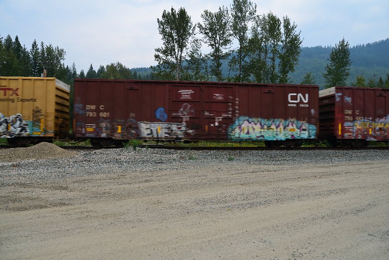 DSC_9079.JPG