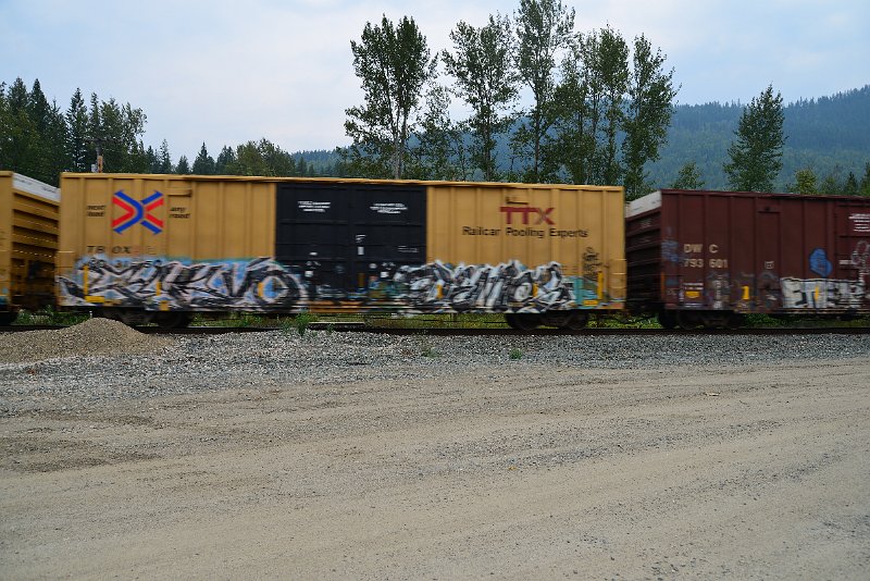 DSC_9080.JPG
