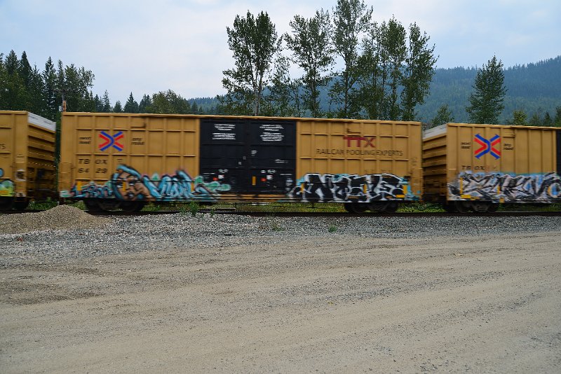 DSC_9081.JPG