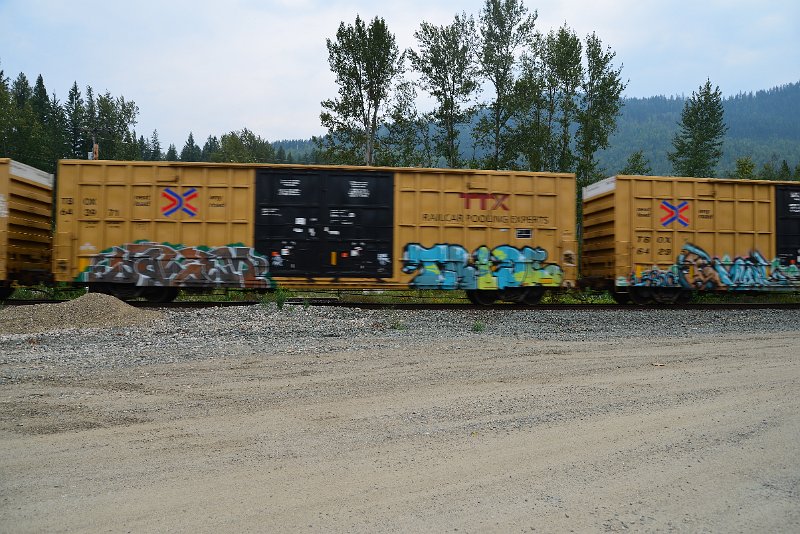 DSC_9082.JPG