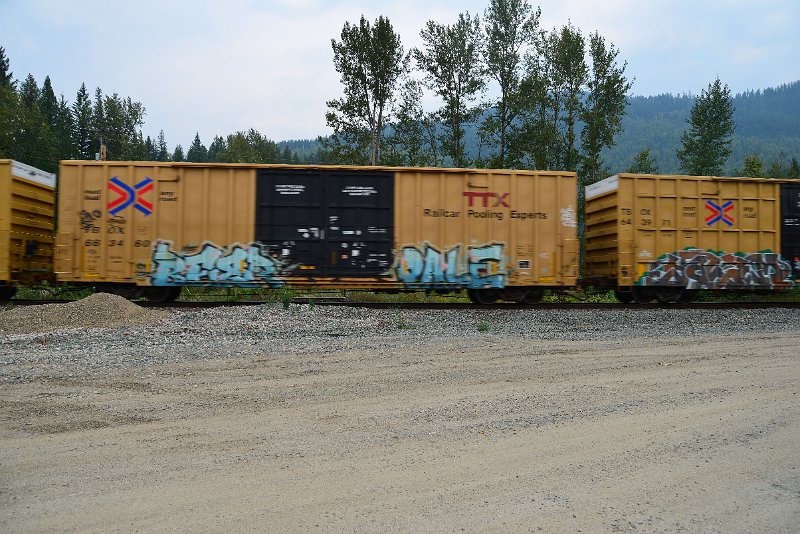 DSC_9083.JPG