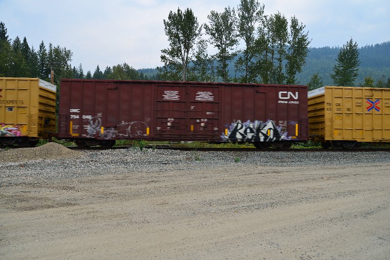 DSC_9085.JPG