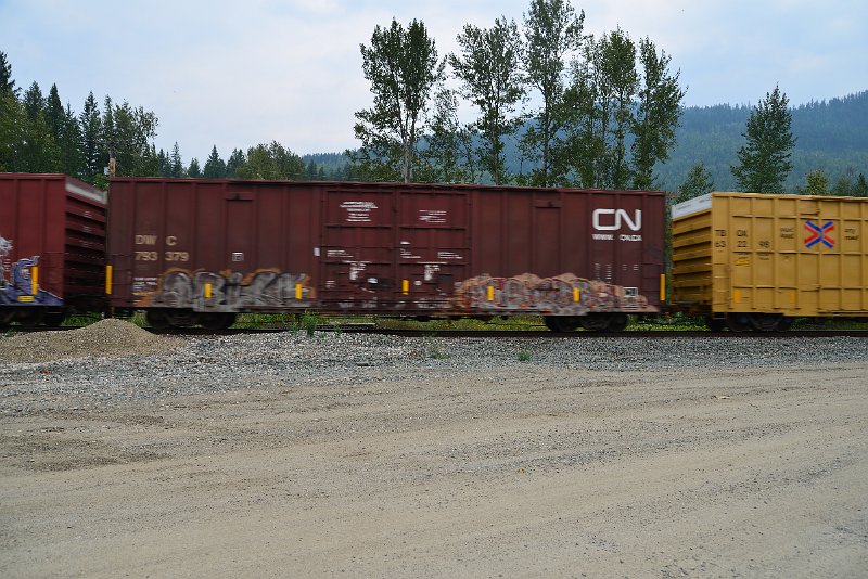 DSC_9087.JPG