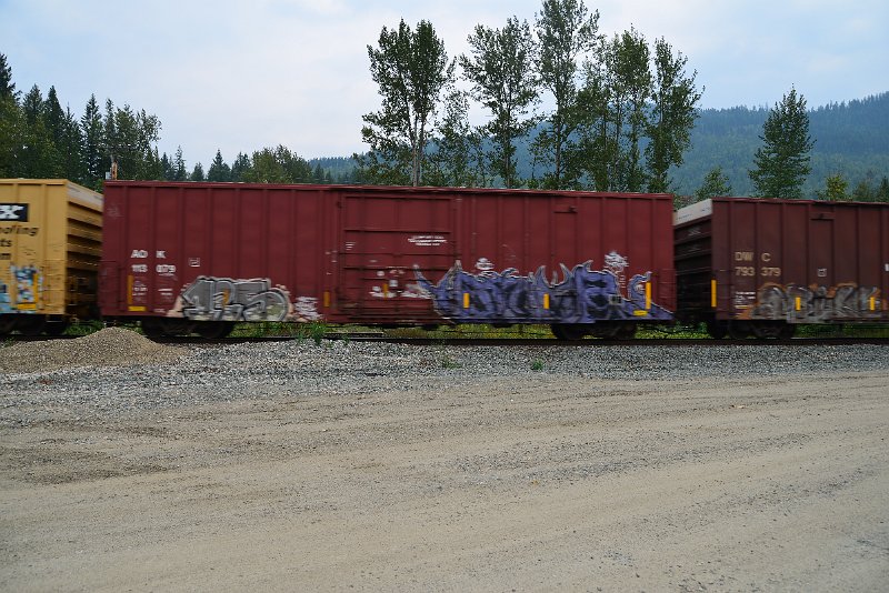 DSC_9088.JPG