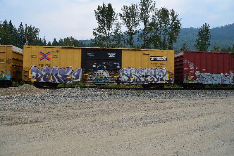 DSC_9091.JPG