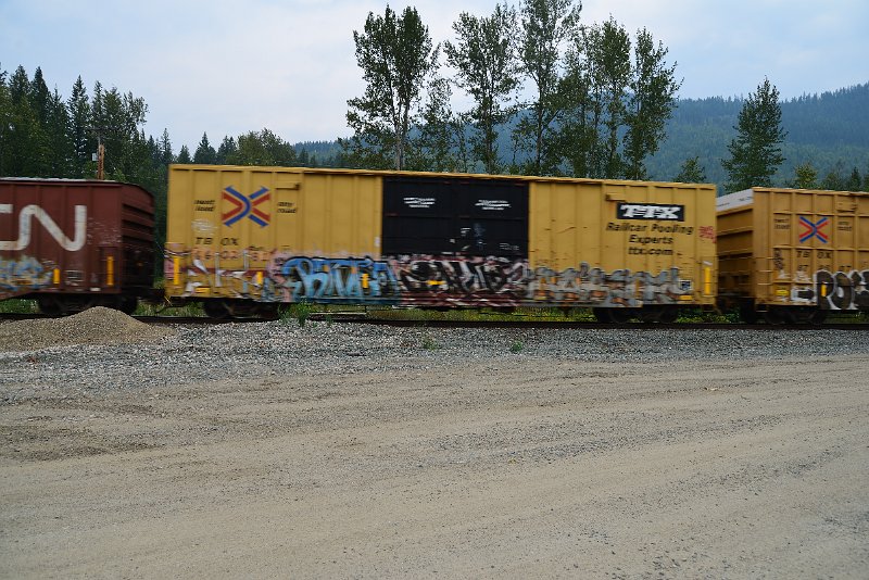 DSC_9093.JPG