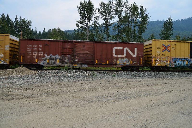 DSC_9094.JPG