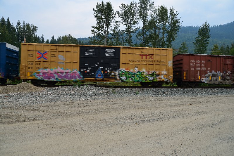 DSC_9095.JPG