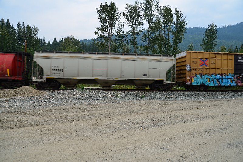 DSC_9099.JPG