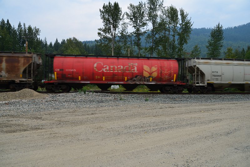 DSC_9100.JPG