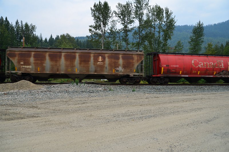 DSC_9101.JPG