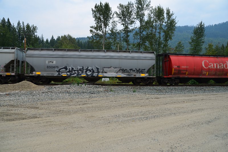 DSC_9103.JPG