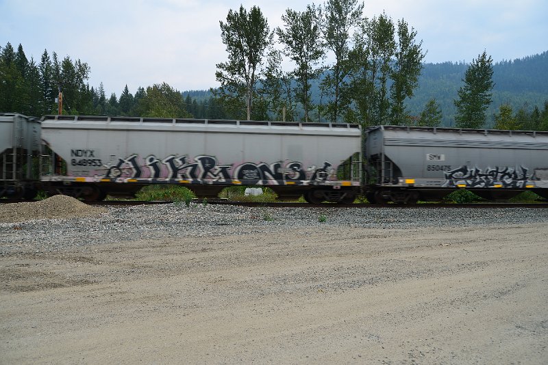 DSC_9104.JPG