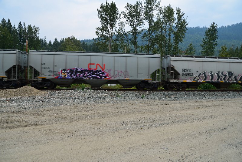 DSC_9105.JPG