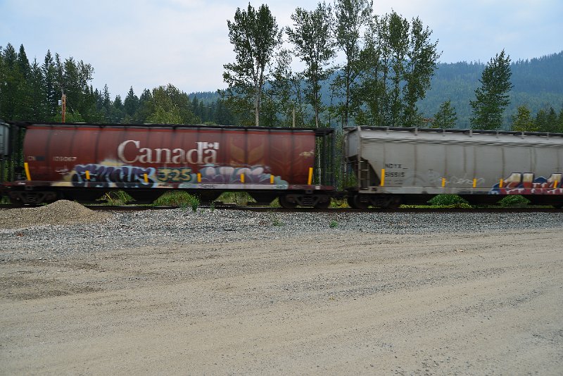 DSC_9108.JPG