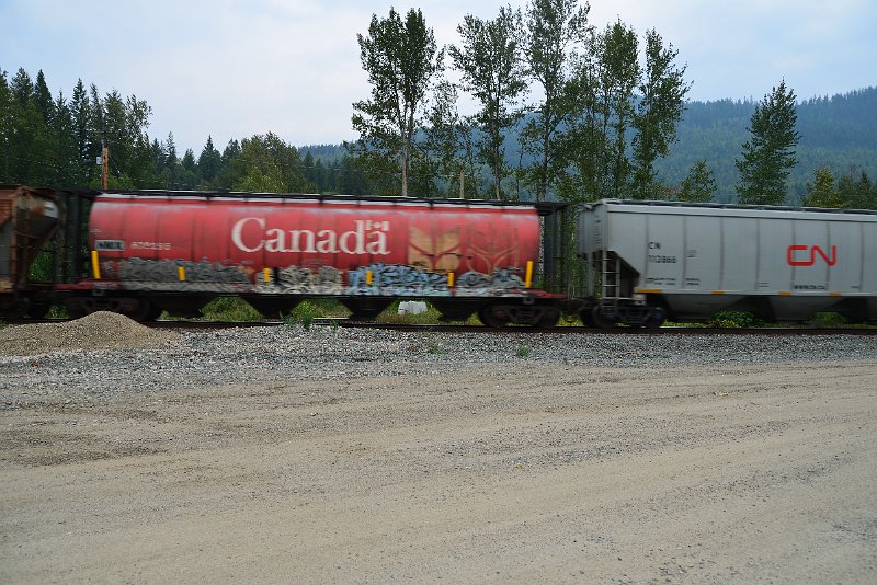 DSC_9110.JPG