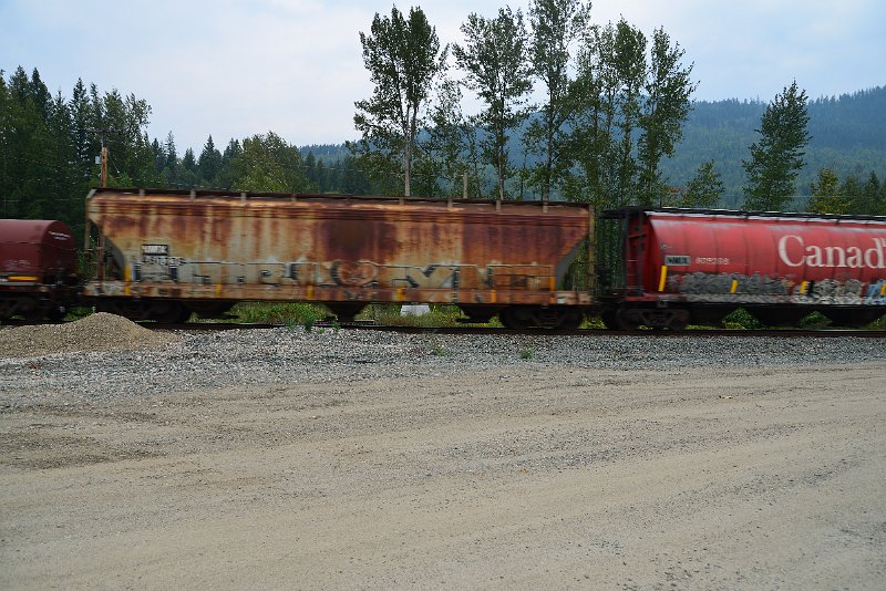 DSC_9111.JPG