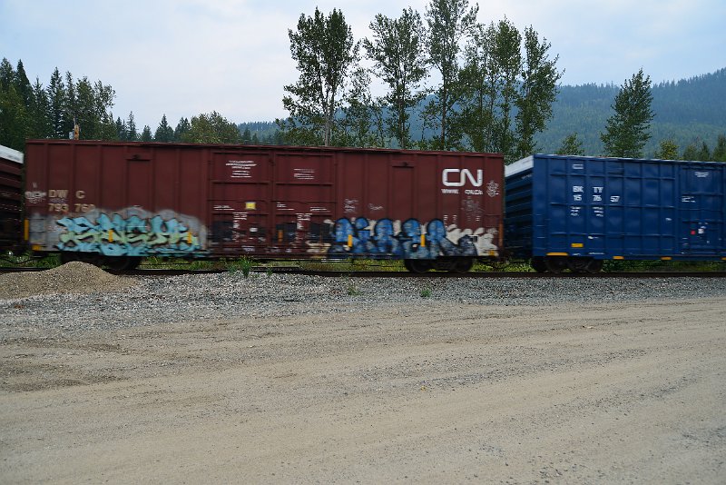 DSC_9117.JPG