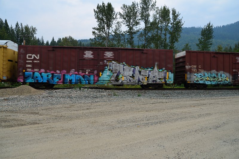 DSC_9118.JPG