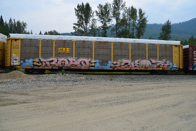 DSC_9119.JPG