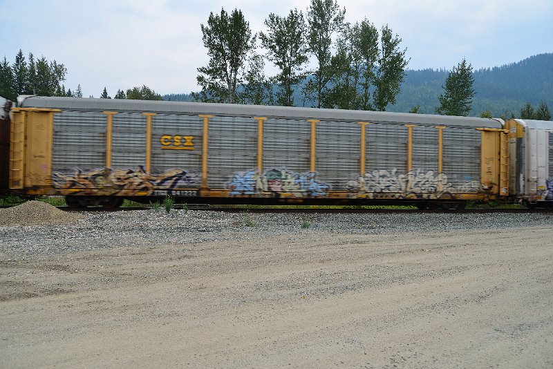 DSC_9123.JPG