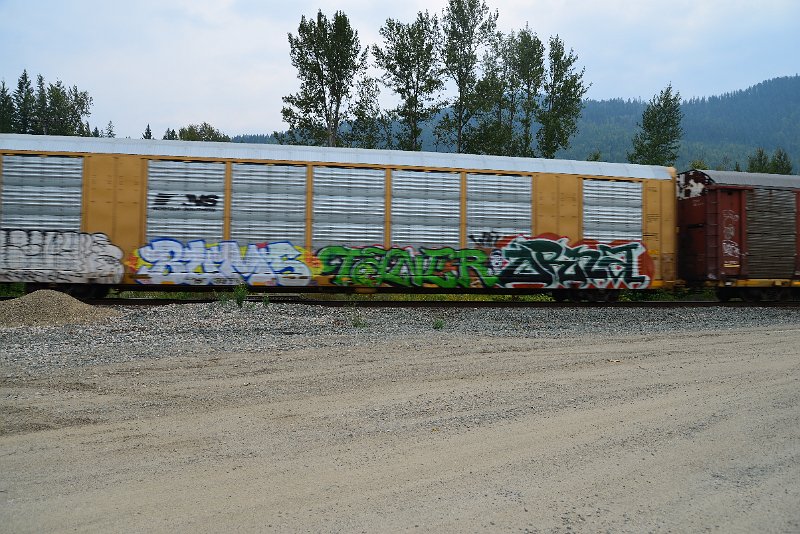 DSC_9125.JPG