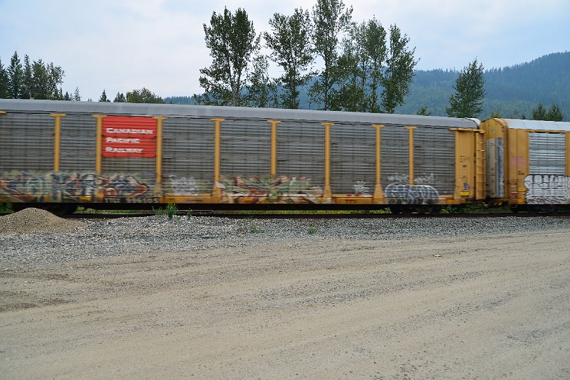 DSC_9126.JPG