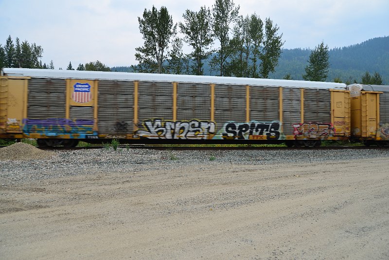 DSC_9127.JPG