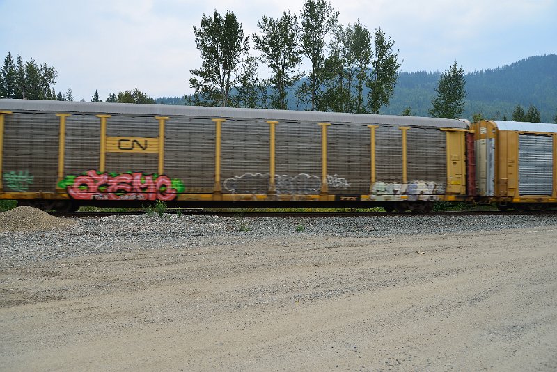 DSC_9129.JPG