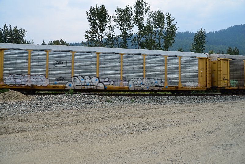 DSC_9130.JPG