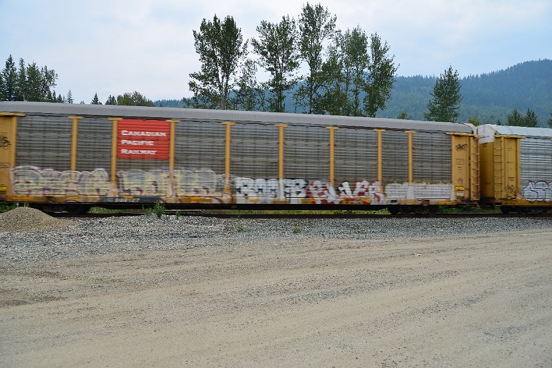 DSC_9131.JPG
