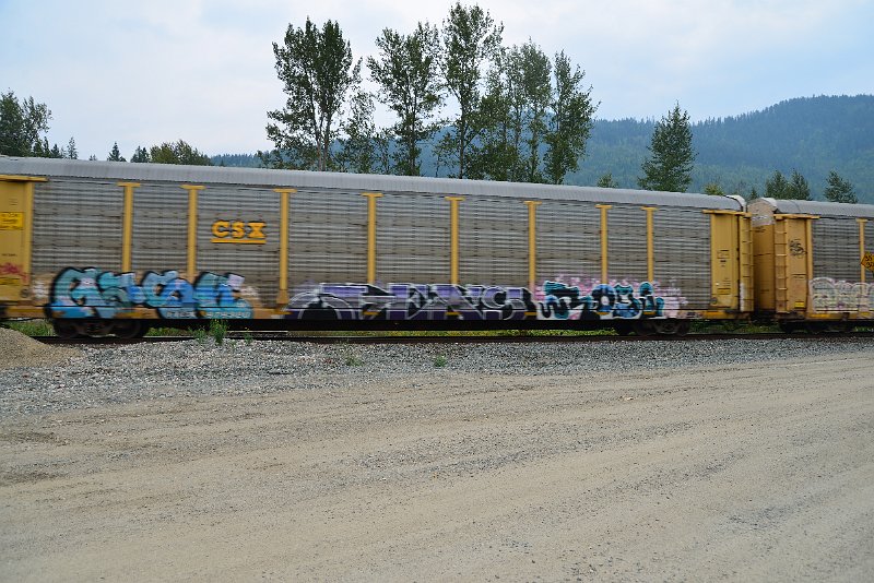 DSC_9132.JPG