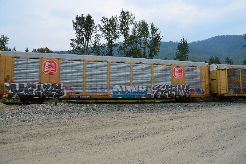DSC_9136.JPG