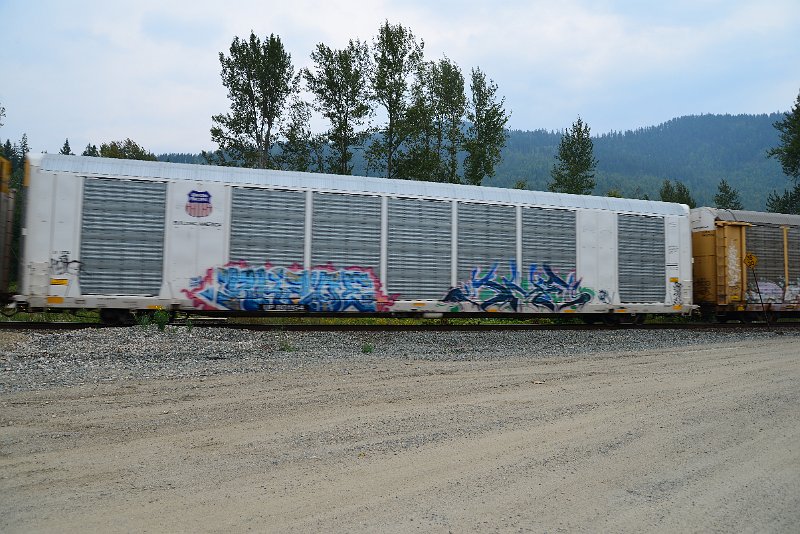 DSC_9138.JPG