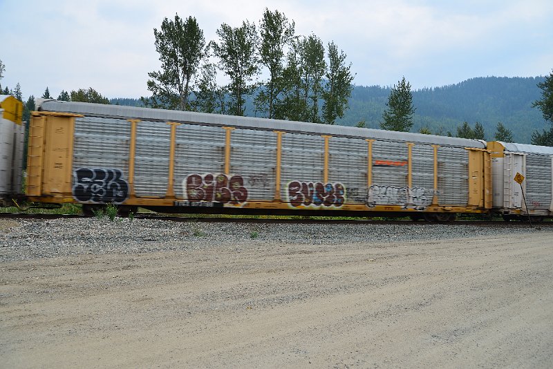 DSC_9140.JPG