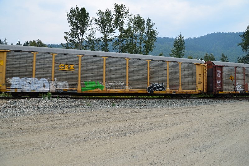 DSC_9145.JPG