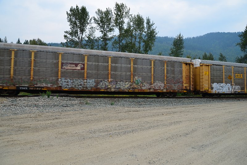 DSC_9146.JPG