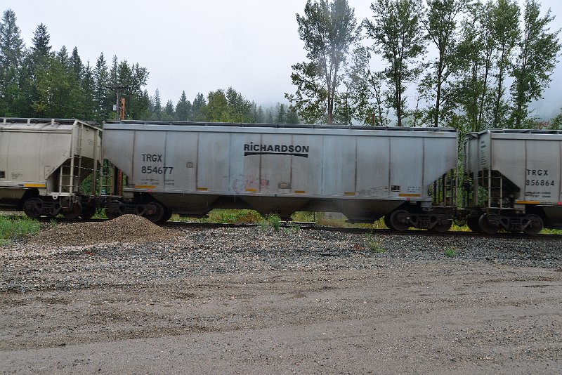 DSC_9155.JPG