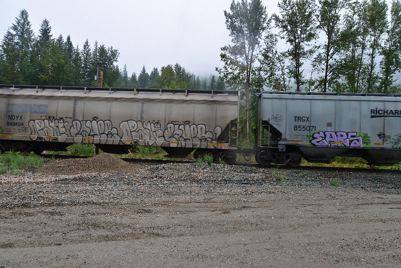 DSC_9163.JPG