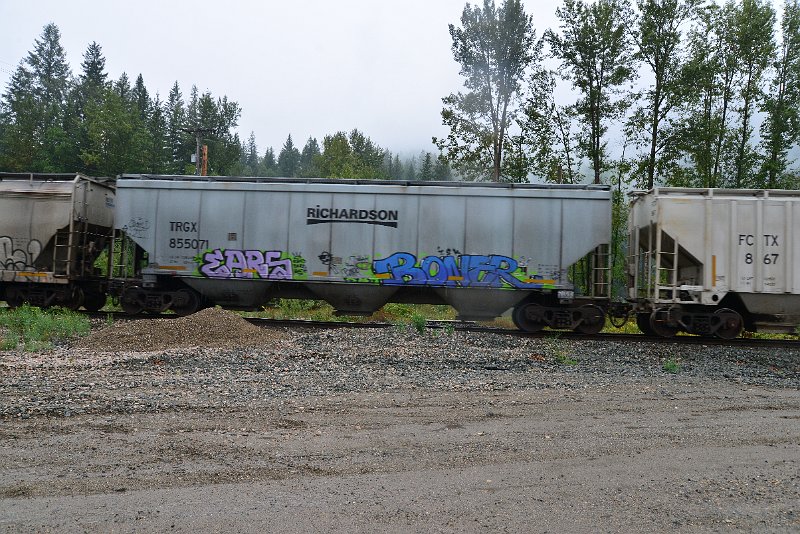 DSC_9164.JPG