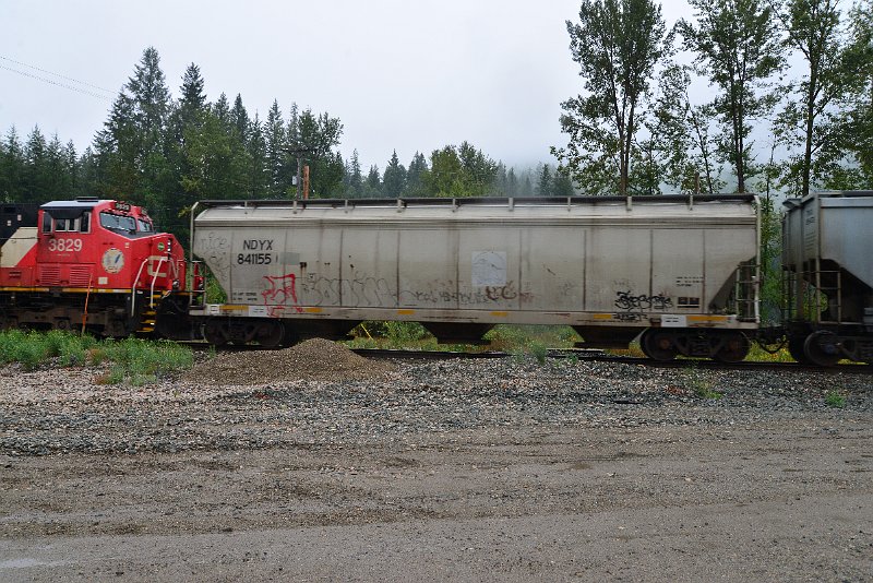 DSC_9167.JPG