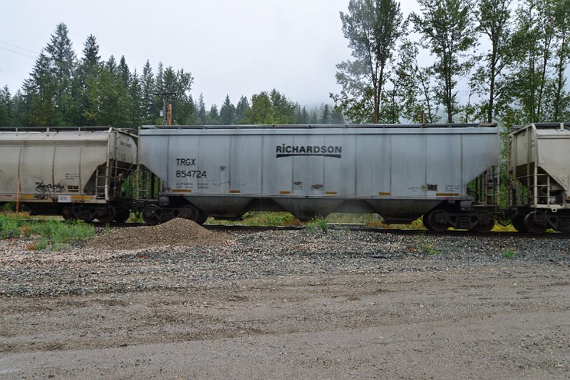 DSC_9168.JPG