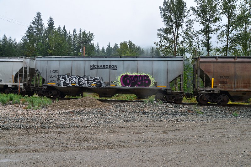 DSC_9174.JPG