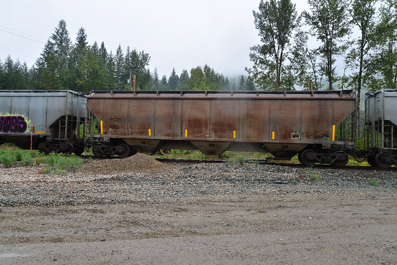 DSC_9175.JPG