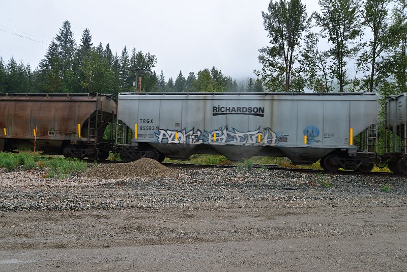 DSC_9177.JPG