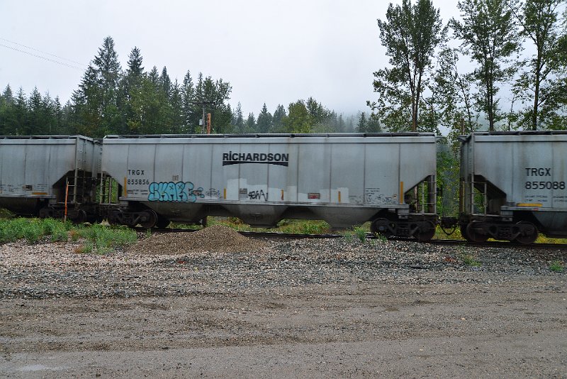 DSC_9184.JPG